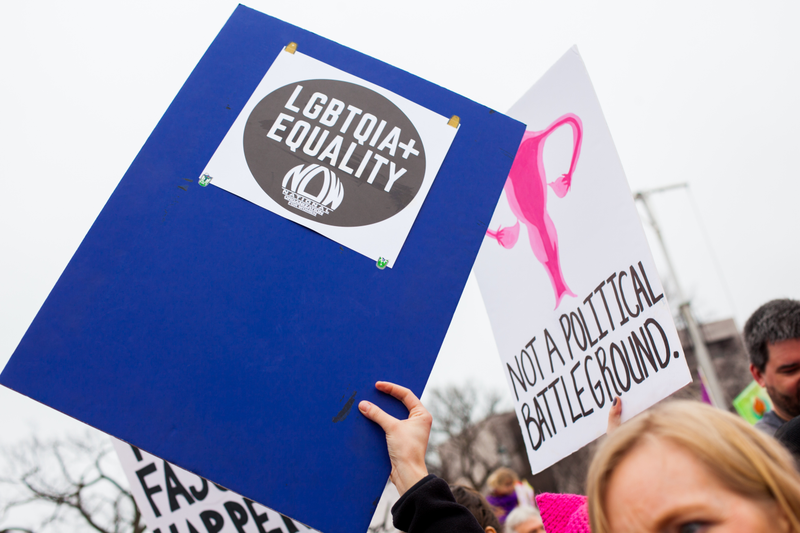 Illustration for article titled WOMEN'S MARCH ON WASHINGTON : THE SIGNS